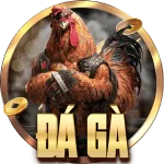 THOMO69 4 333